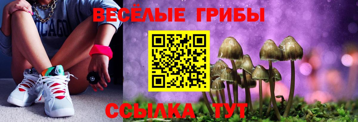 Хасавюрт  Галлюциногенные грибы Cubensis  Вход с VPN 